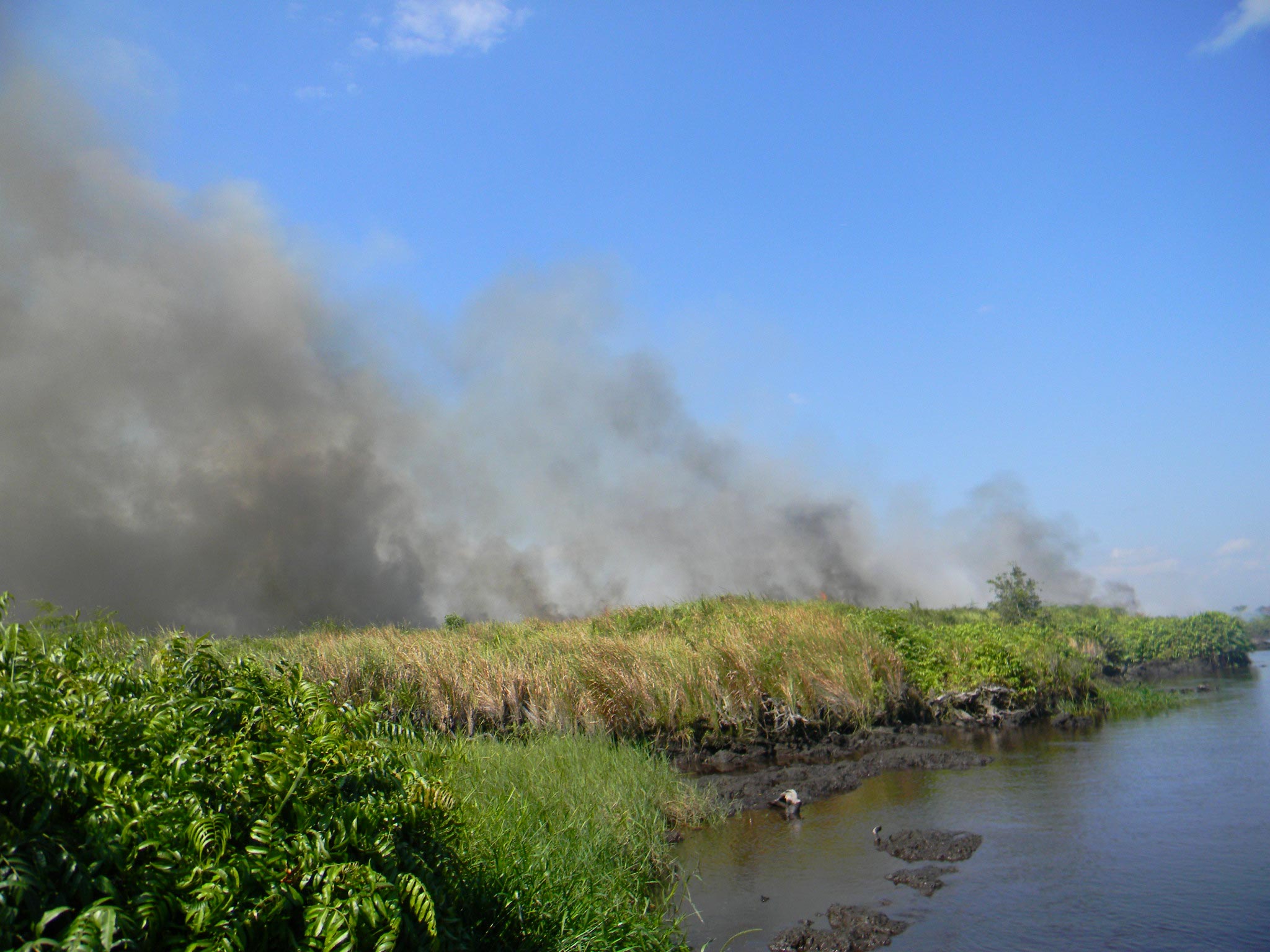 Read more about the article Mampukah kita mencegah kebakaran hutan dan lahan ditengah badai pandemi COVID-19 ini?