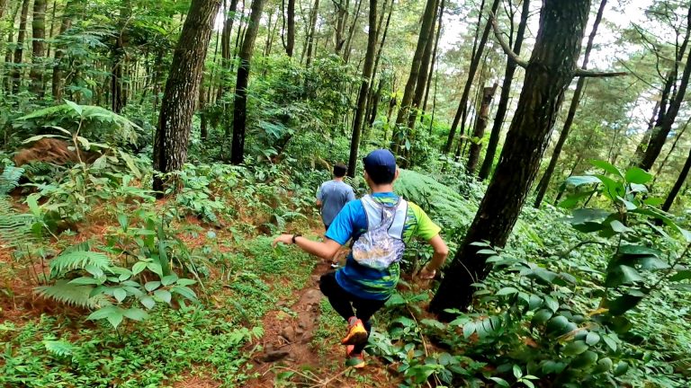 Read more about the article Salak Eco Trail Run Lombakan Jarak Tempuh 12 dan 21 Km