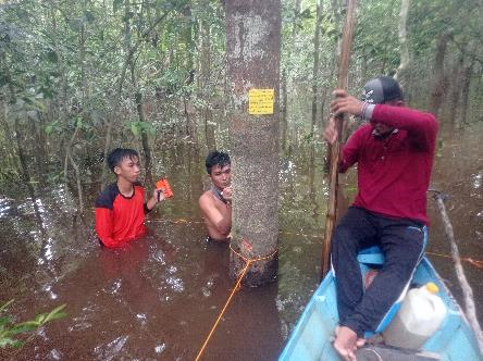 Read more about the article Pelaksanaan survei Lapangan di Tiga Lokasi Hutan Desa